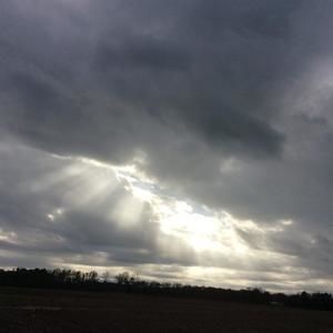 Meet your Posher, Sherry